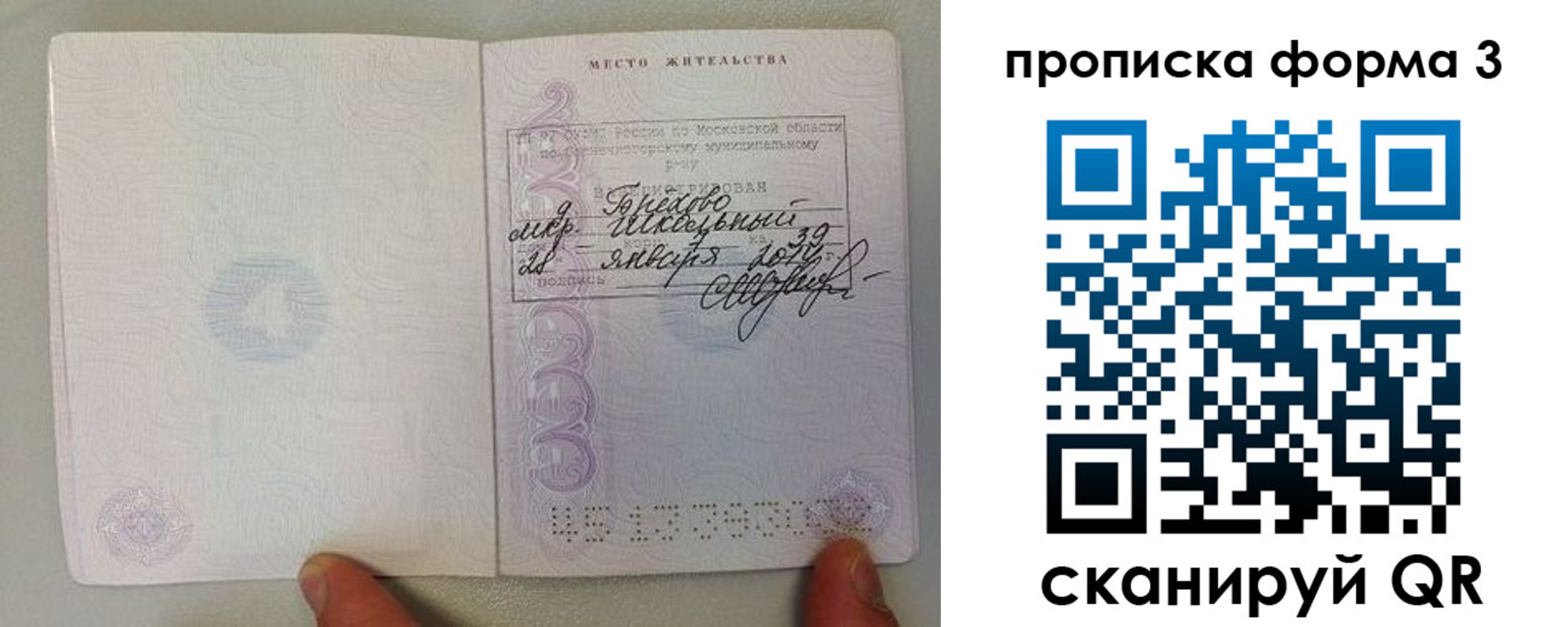 прописка гарантия в Радужном